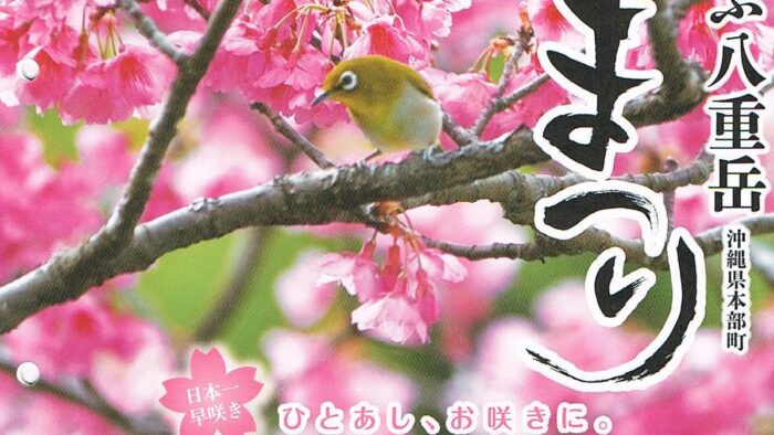 第37回もとぶ八重岳桜まつり