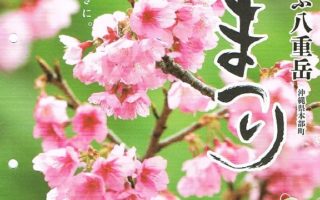 第38回もとぶ八重岳 桜まつり